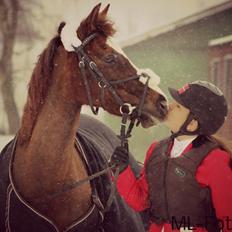 Anden særlig race Honey
