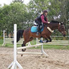 Traver Amadeo *R.I.P*