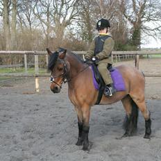 Anden særlig race Snuske