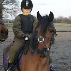 Anden særlig race Snuske