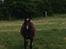 Welsh Cob (sec D) Tongerveld's Amor