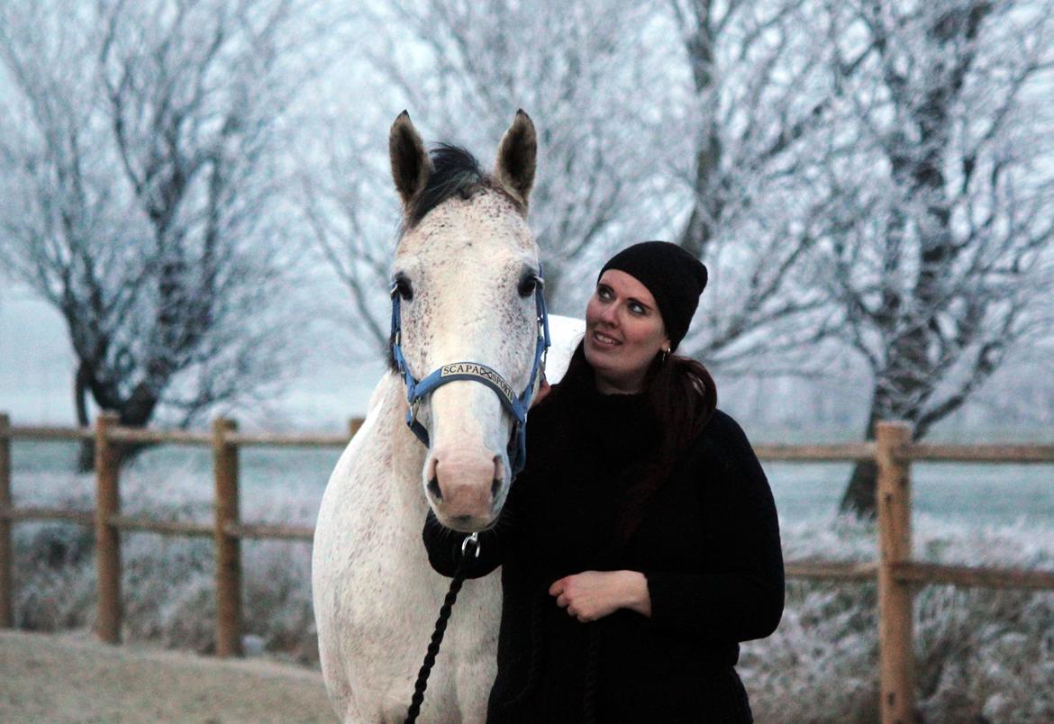 Holstener Fruerholm's Adonis *For Evigt Elsket <3* - NYT: D.23 januar. Kan ikke forstå at vi snart skal sige farvel :'( billede 2