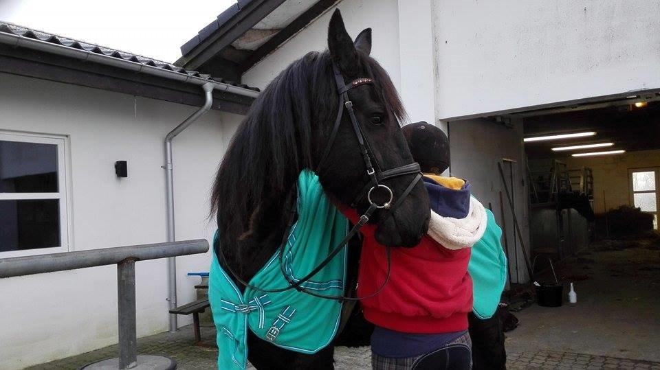 Frieser Roose billede 7