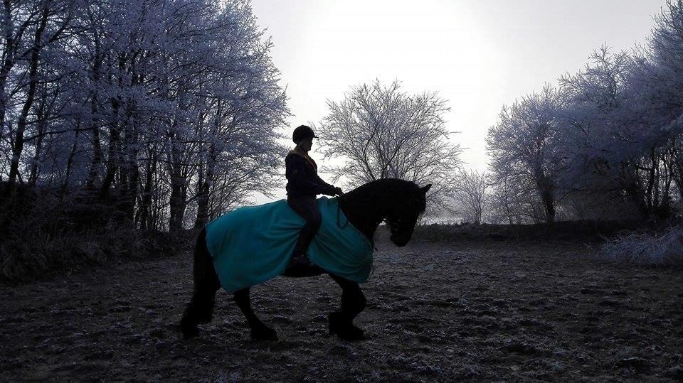 Frieser Roose billede 9