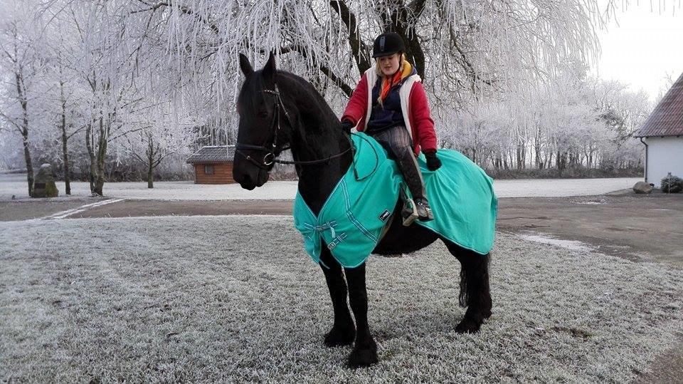 Frieser Roose billede 12