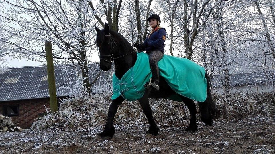 Frieser Roose billede 13