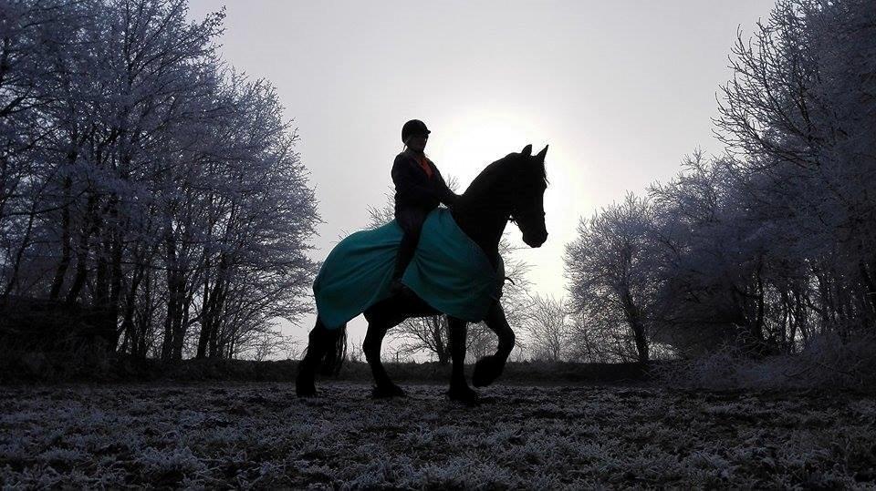 Frieser Roose billede 1