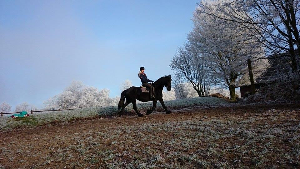 Frieser Roose billede 18