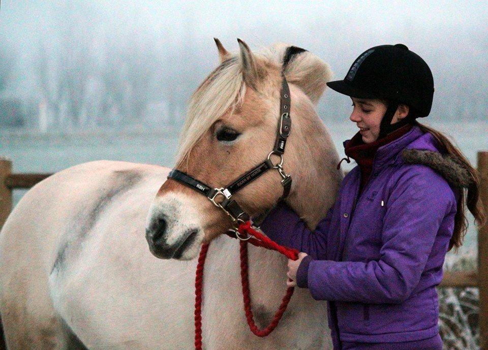 Fjordhest - Carlos Godthaab [Forever] - Et smukt syn som skal nydes med en smuk pony <3 billede 15