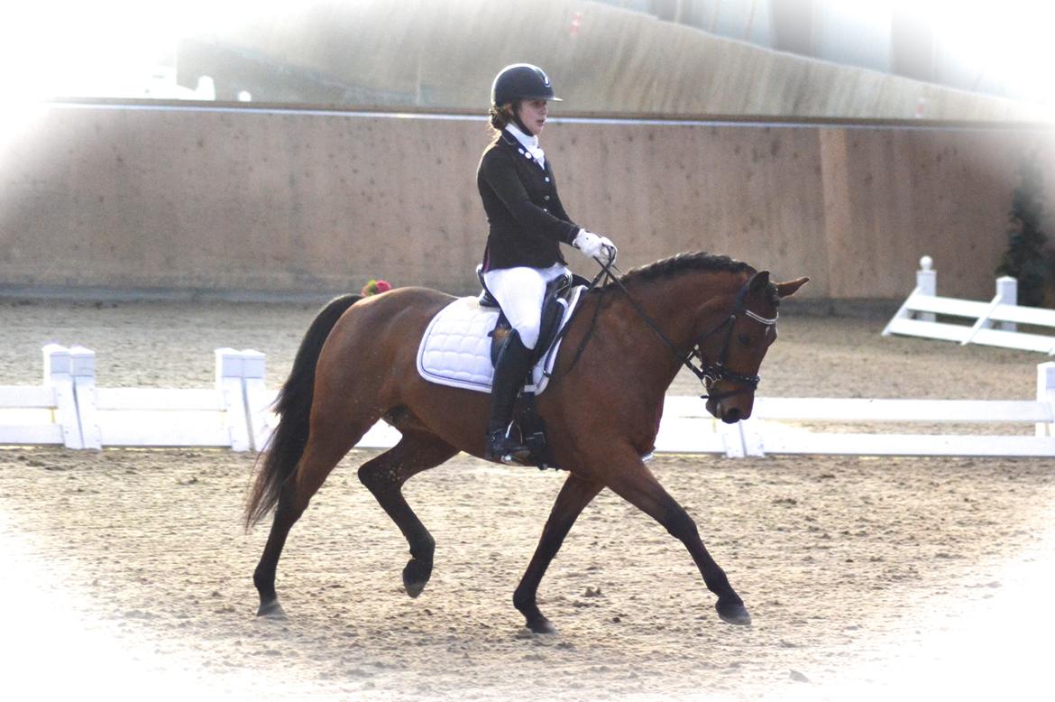 DSP Nikita - Hedensted  billede 13