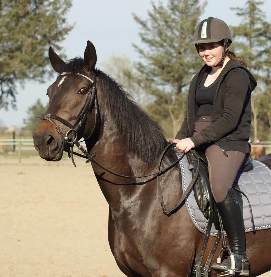 Anden særlig race Legends miss laya billede 2