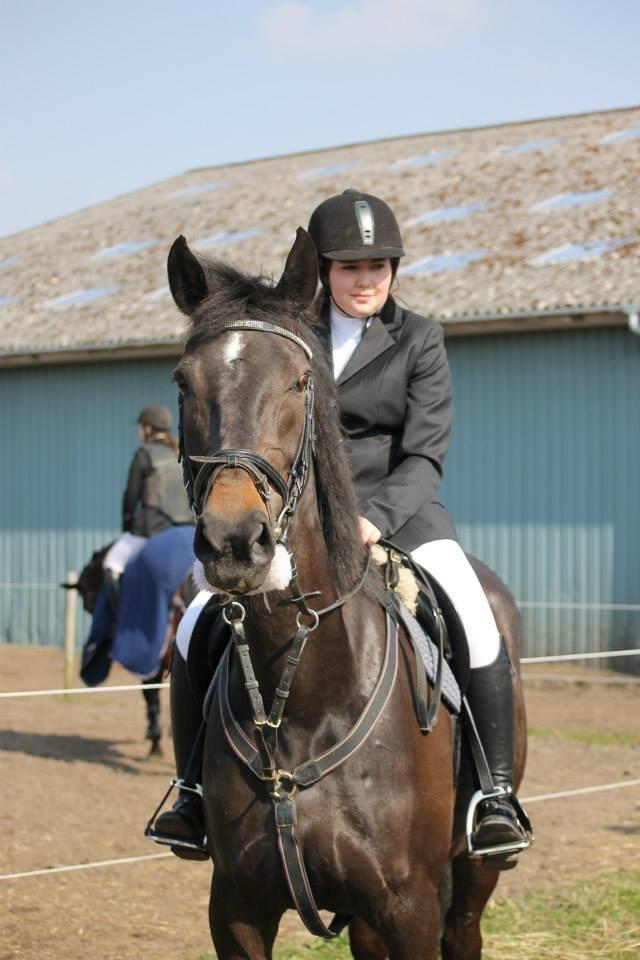 Anden særlig race Legends miss laya billede 5