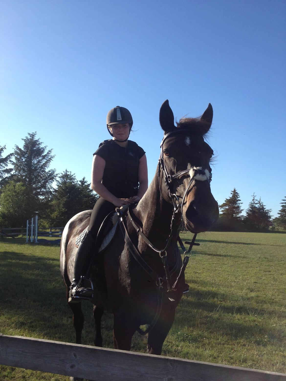 Anden særlig race Legends miss laya billede 6