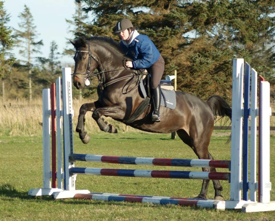 Anden særlig race Legends miss laya billede 10