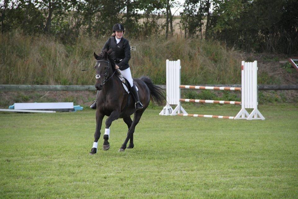 Anden særlig race Legends miss laya billede 11