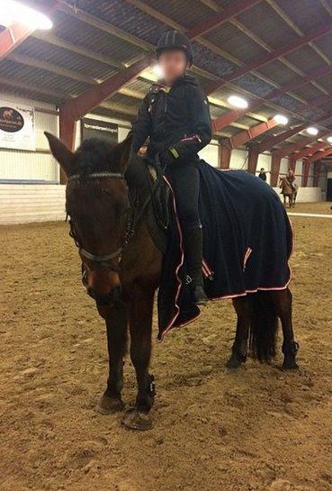 Anden særlig race ~ Jarl  - Mig og pony<3 billede 3