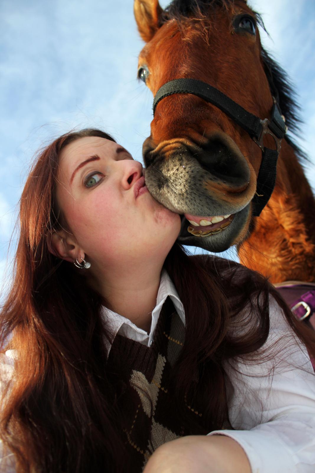 Dansk Varmblod Angel of music (SOLGT) *For evigt elsket <3* - NYT: Angel og mig tager selfies i sneen :D billede 28