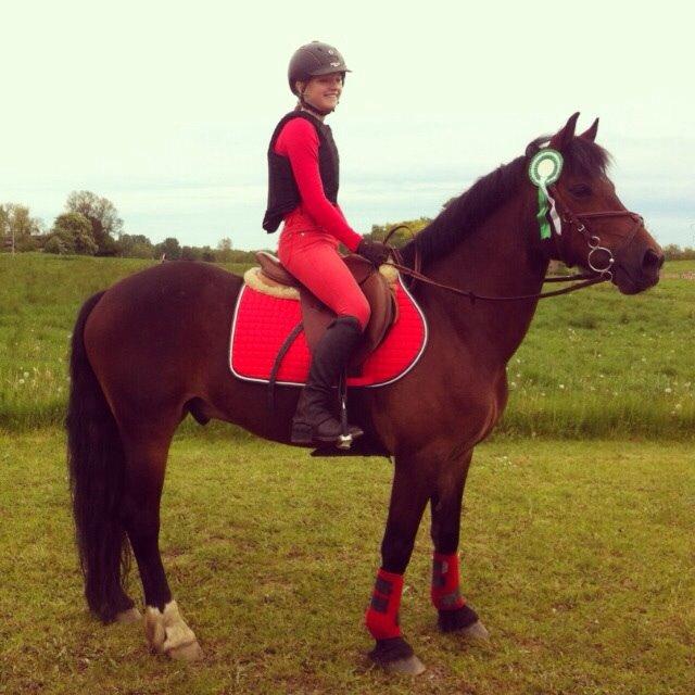 Welsh Cob (sec D) Haymos A'kato <3 - Springstævne på Ishøj LC billede 10