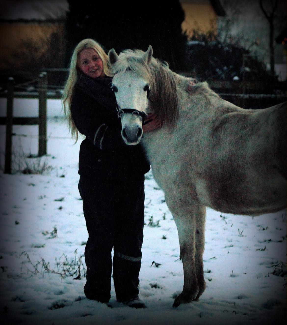 DSP Natash *Min soulmate&Dulle1* - "There is no secret so close as that between a rider and his horse." billede 27