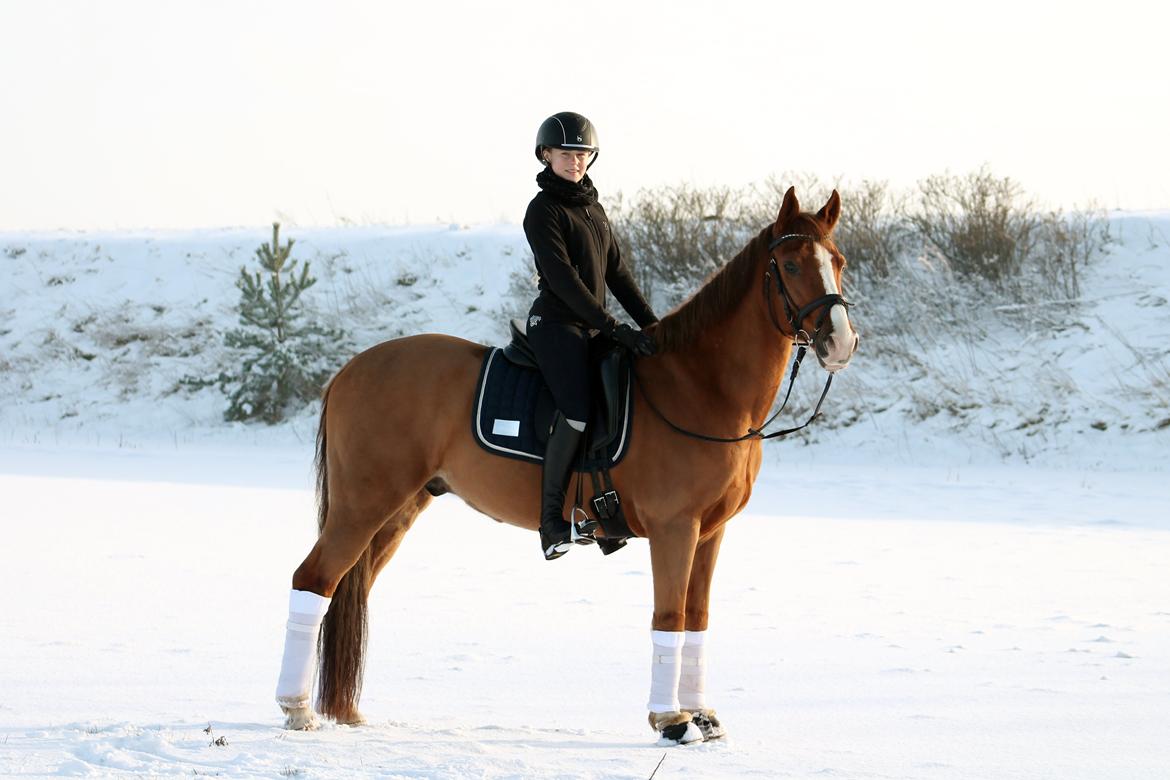 DSP B-pony Mr. karlsson - Min snebamse // Januar 2015 billede 16