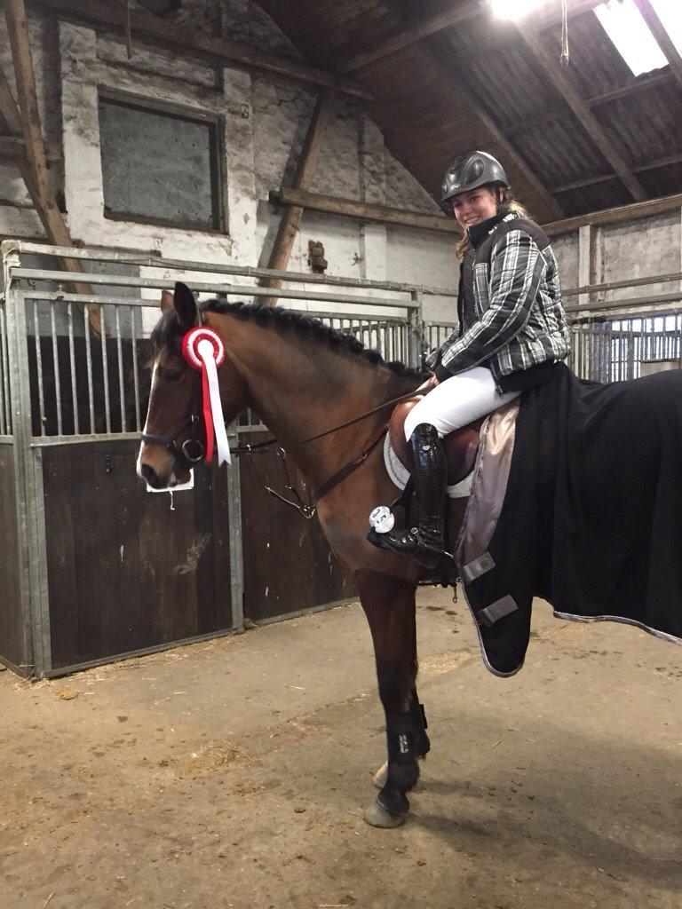 DSP Haahr`s Dumbledore billede 3