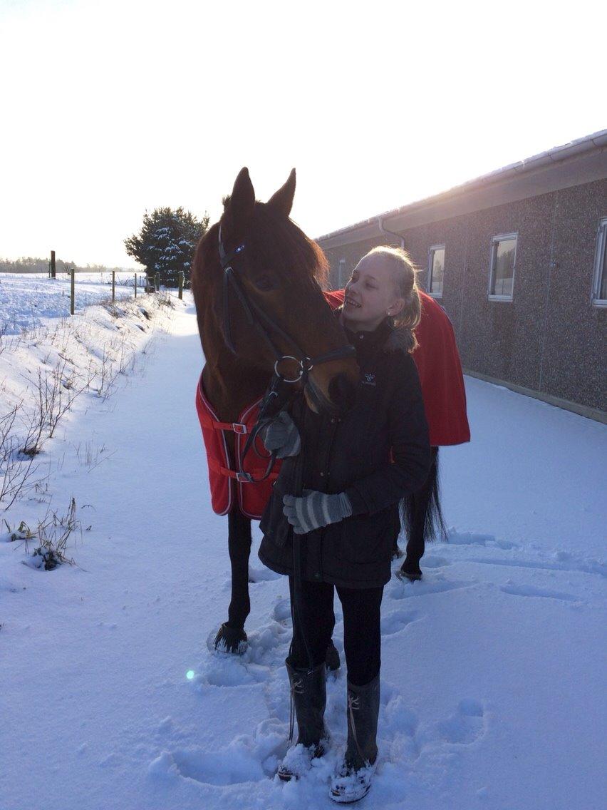 DSP Ellen - Some of our friends have to walk on four legs, just so they can carry around such big hearts!<3 FOTO: asta billede 18