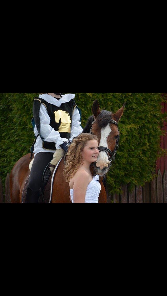 DSP Bolera billede 4