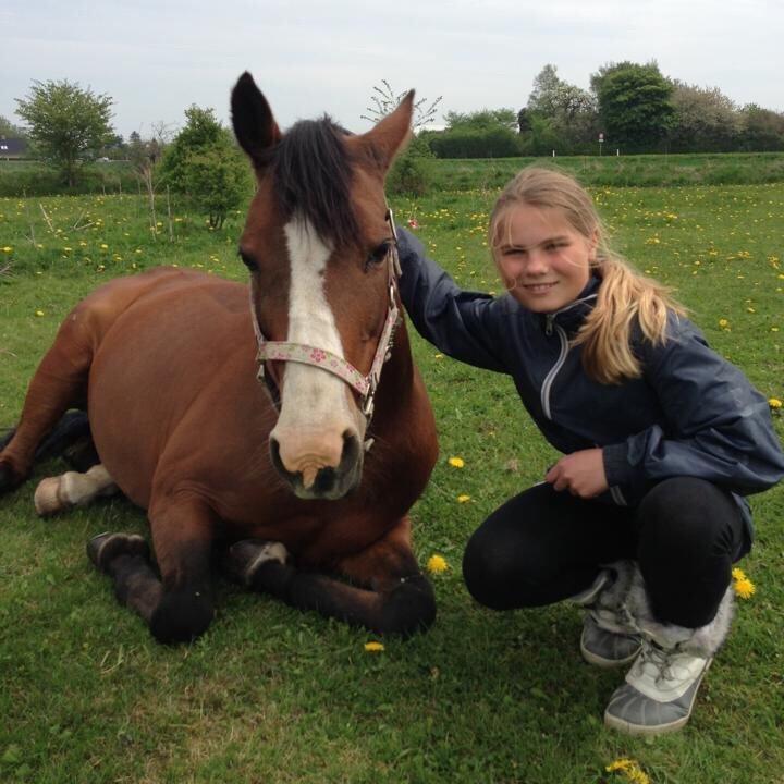 DSP Bolera billede 9