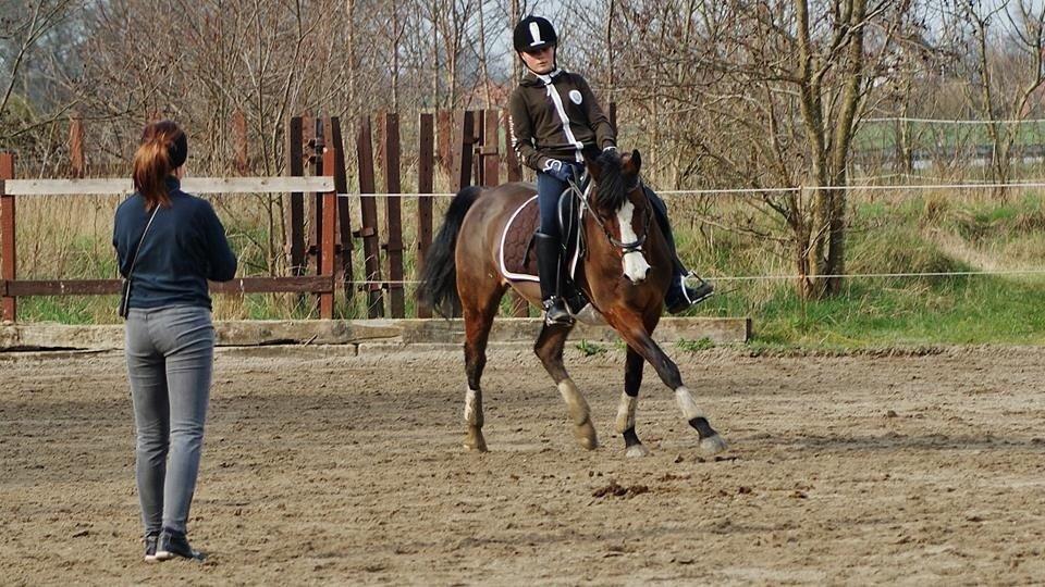 DSP Bolera billede 13