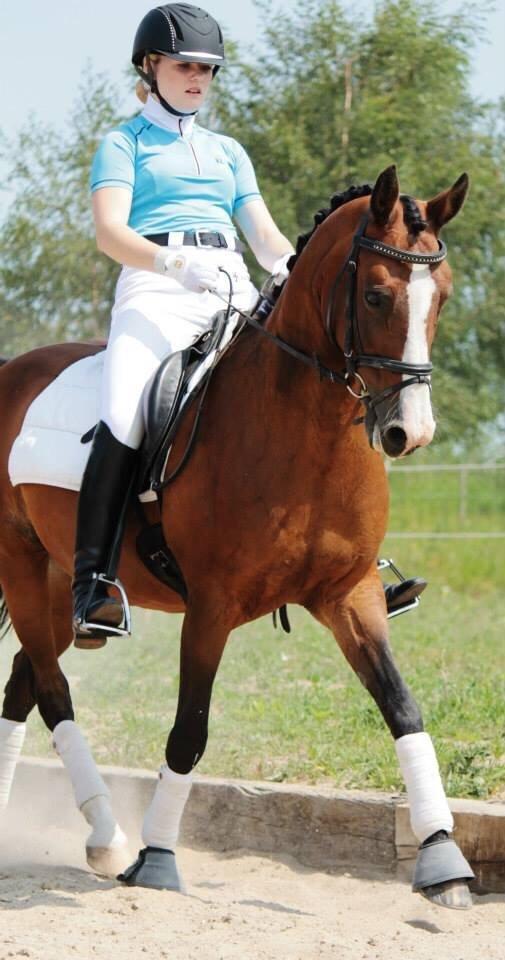 DSP Bolera billede 17