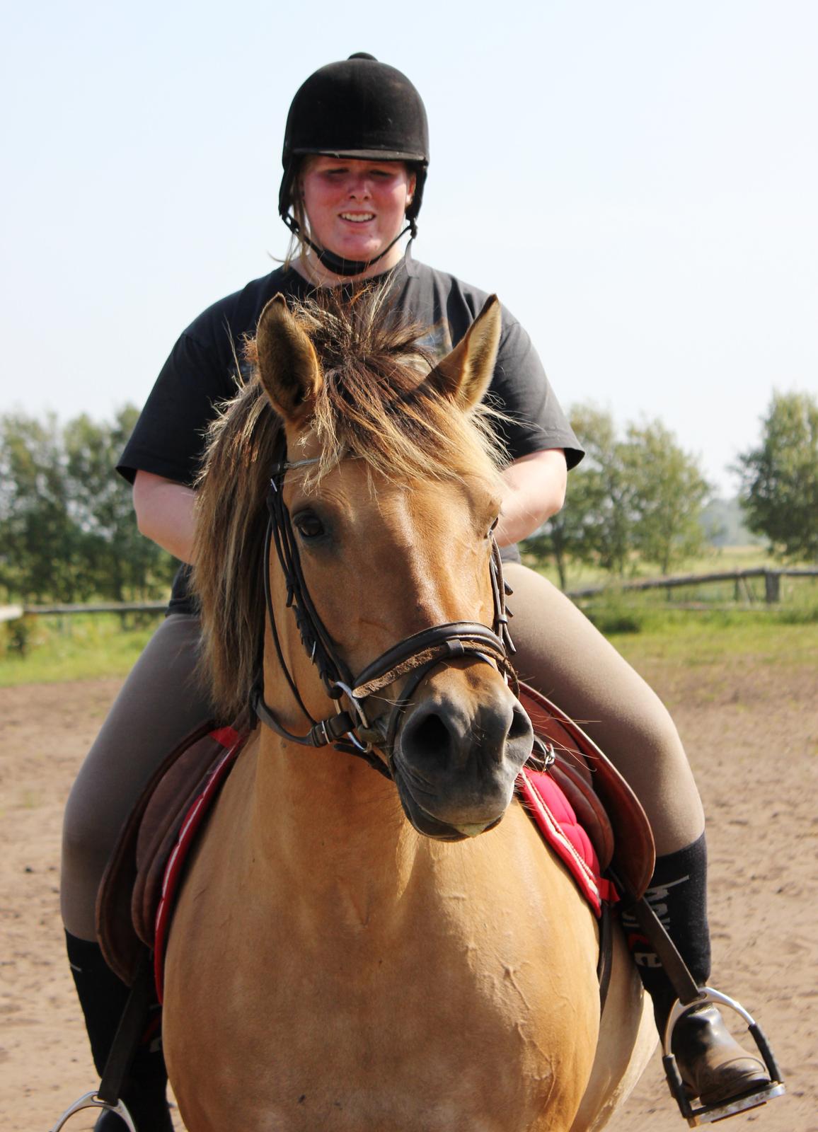 Anden særlig race Gimle billede 12