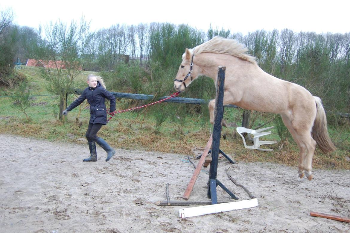 Anden særlig race Dina billede 3