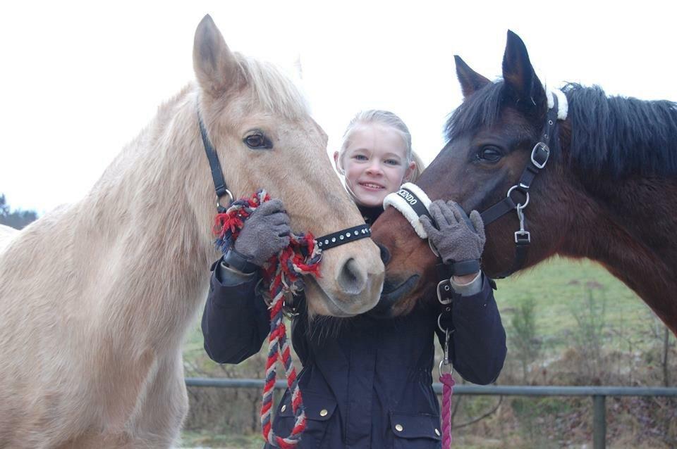 Anden særlig race Dina billede 6