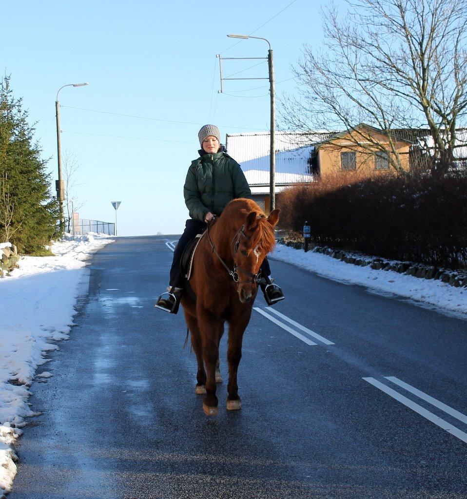 Anden særlig race Axel billede 44