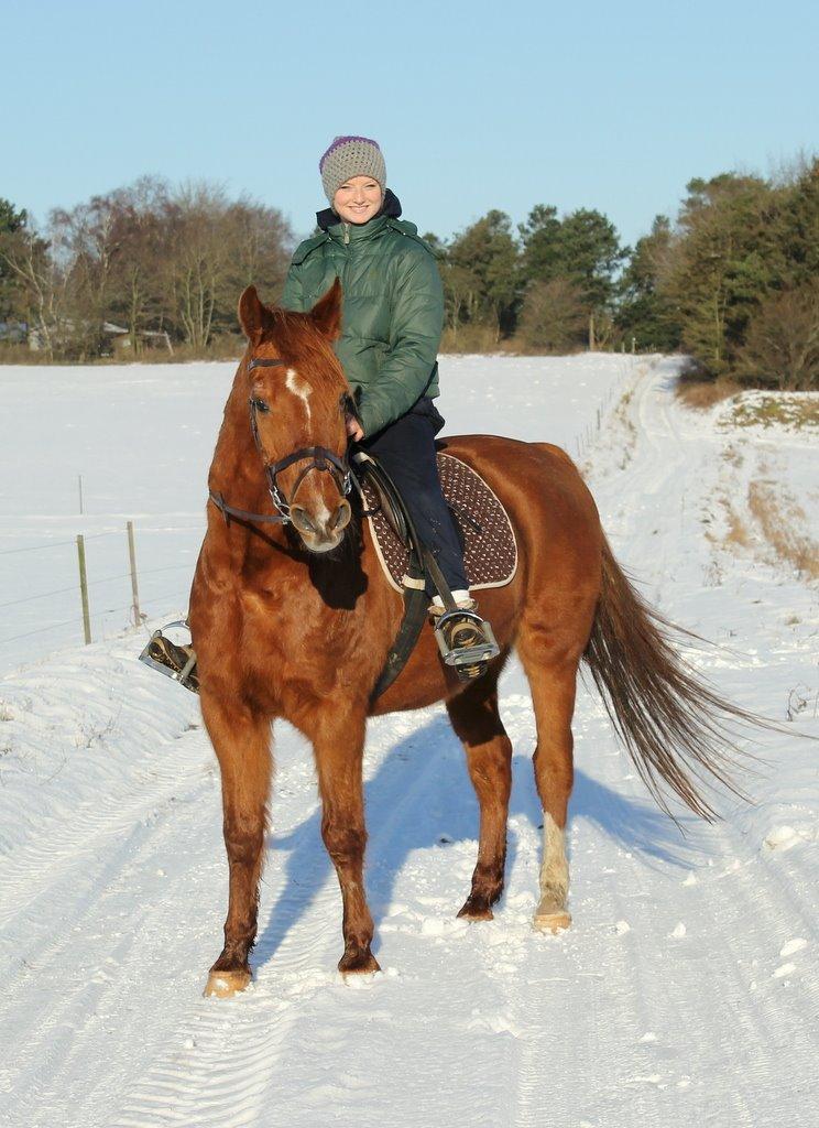 Anden særlig race Axel billede 8