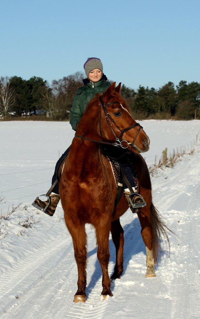 Anden særlig race Axel billede 4