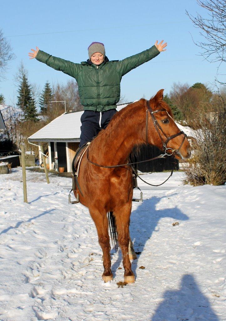 Anden særlig race Axel billede 28