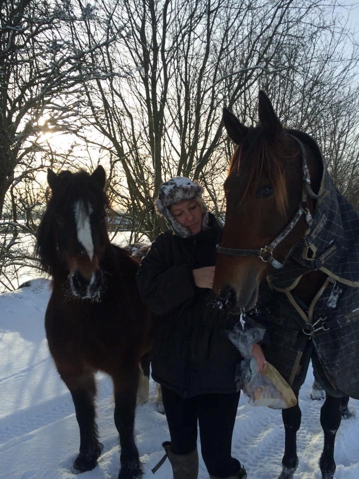 Traver Rain Man H billede 15