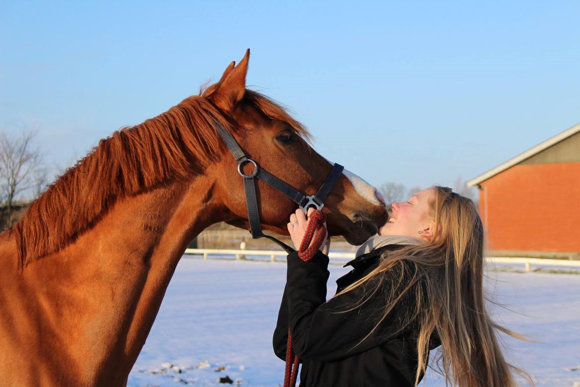 DSP Møgelvangs Ja'dore billede 17