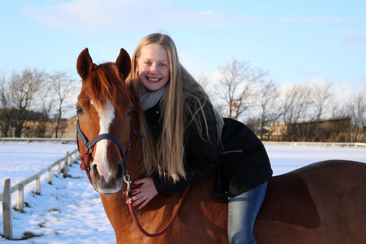 DSP Møgelvangs Ja'dore billede 19