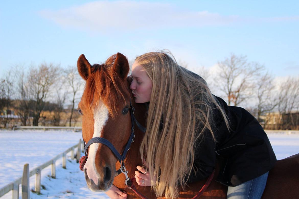 DSP Møgelvangs Ja'dore billede 20