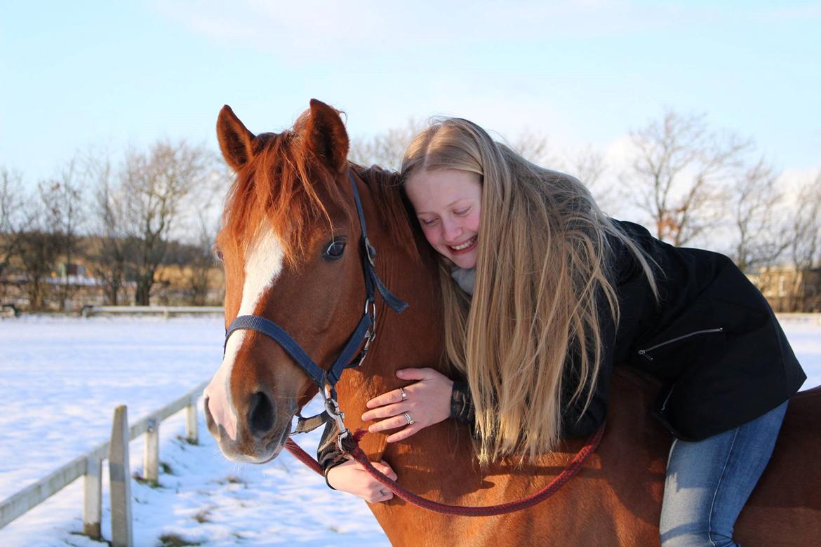 DSP Møgelvangs Ja'dore billede 21