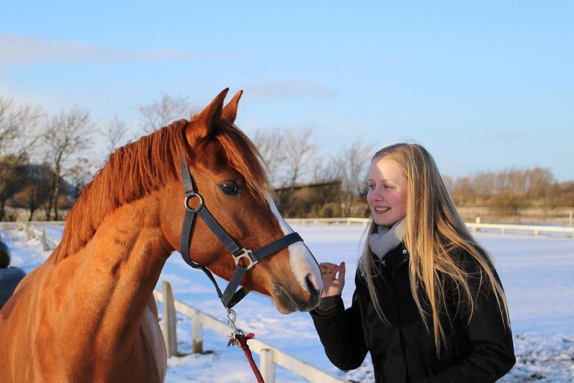 DSP Møgelvangs Ja'dore billede 22