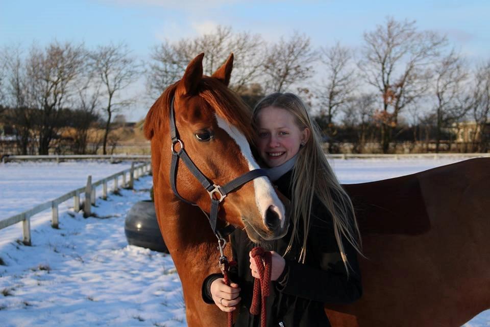 DSP Møgelvangs Ja'dore billede 24