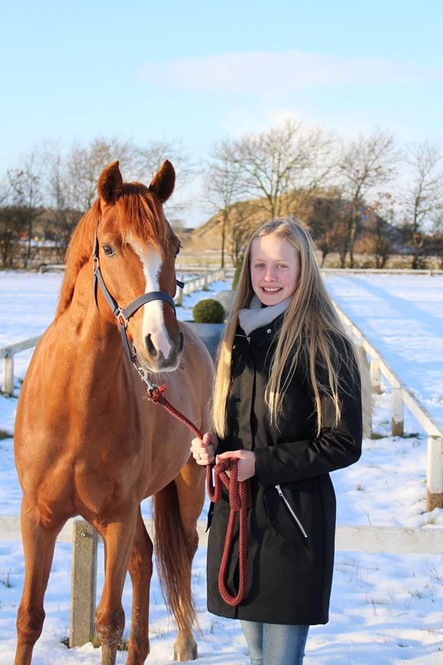 DSP Møgelvangs Ja'dore billede 25