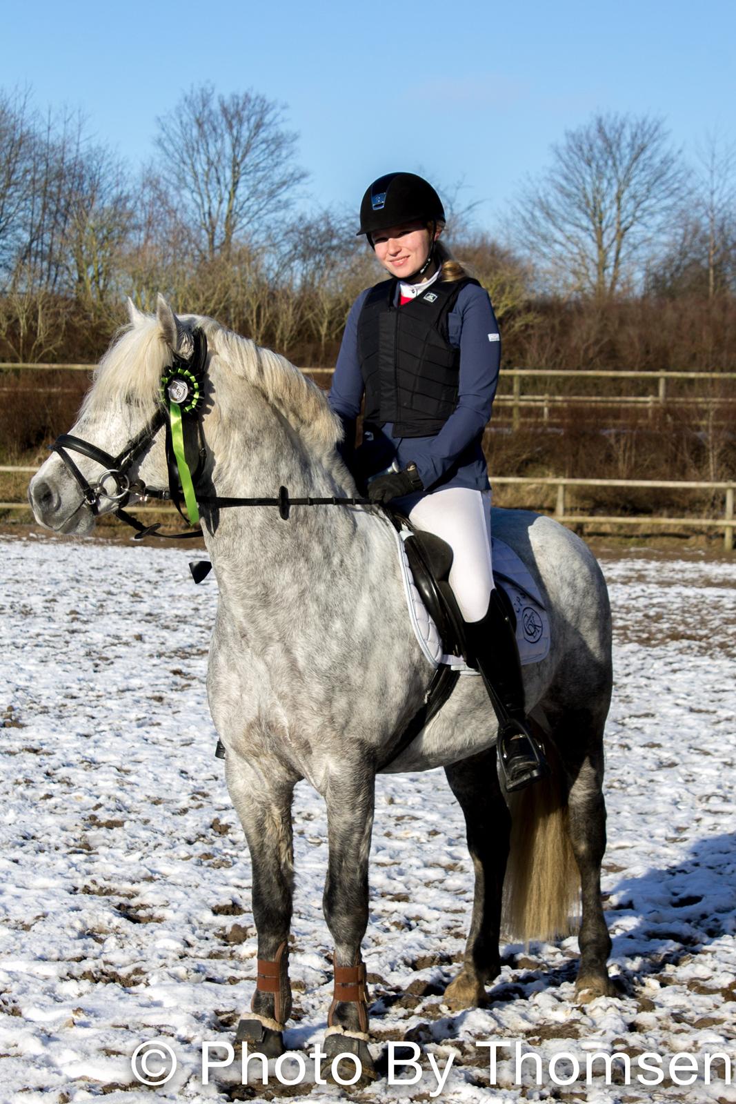 Connemara BELL PRINCE - 1. Klasse Avls Hingst ''Prins'' billede 1