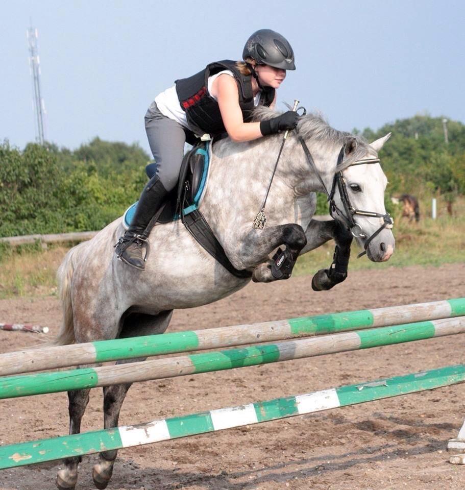 Welsh Partbred (Sec F) Bakkegaardens Sputnik billede 20