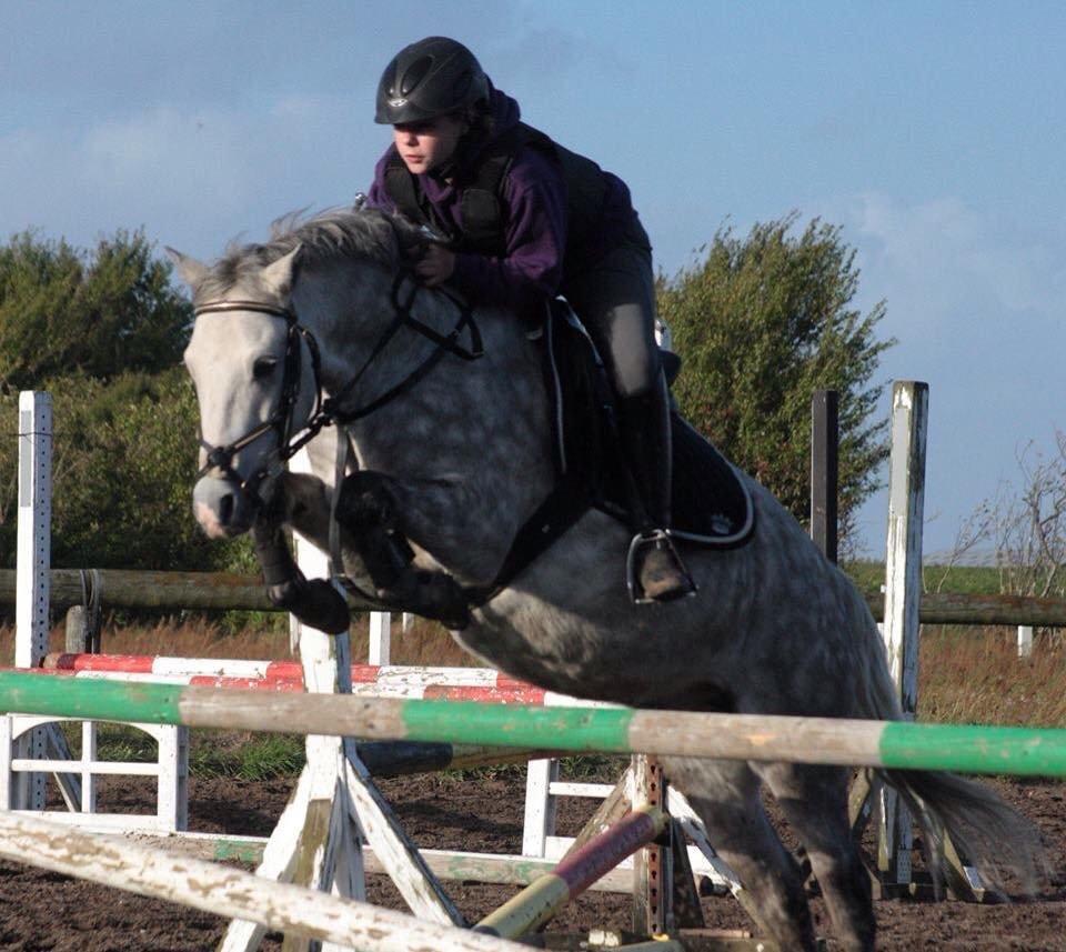 Welsh Partbred (Sec F) Bakkegaardens Sputnik billede 26