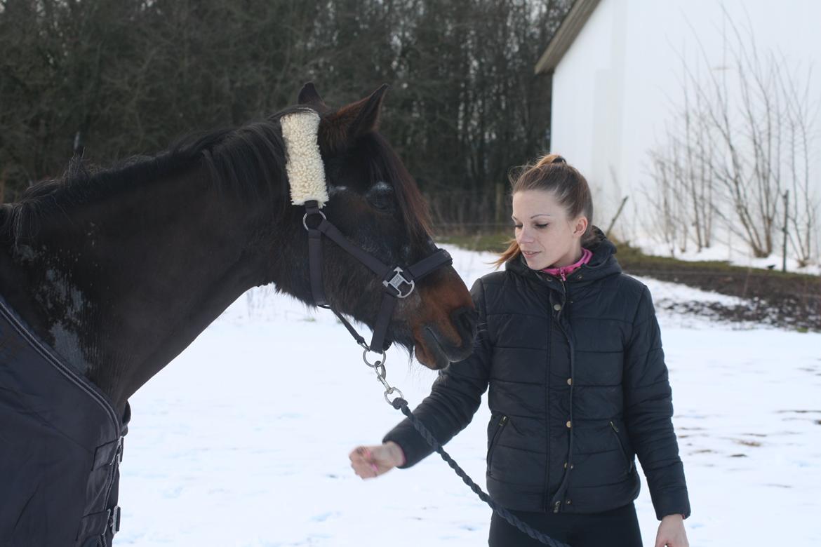 Anden særlig race Moveos Cassiopeia billede 31