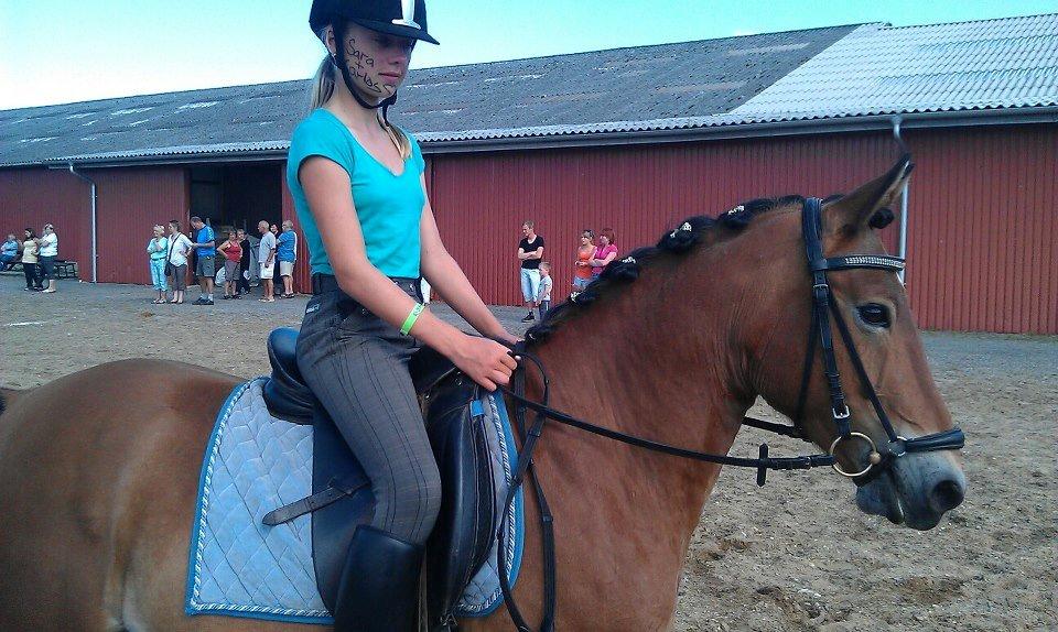 Anden særlig race Chrysler (Tidl. Part) billede 1